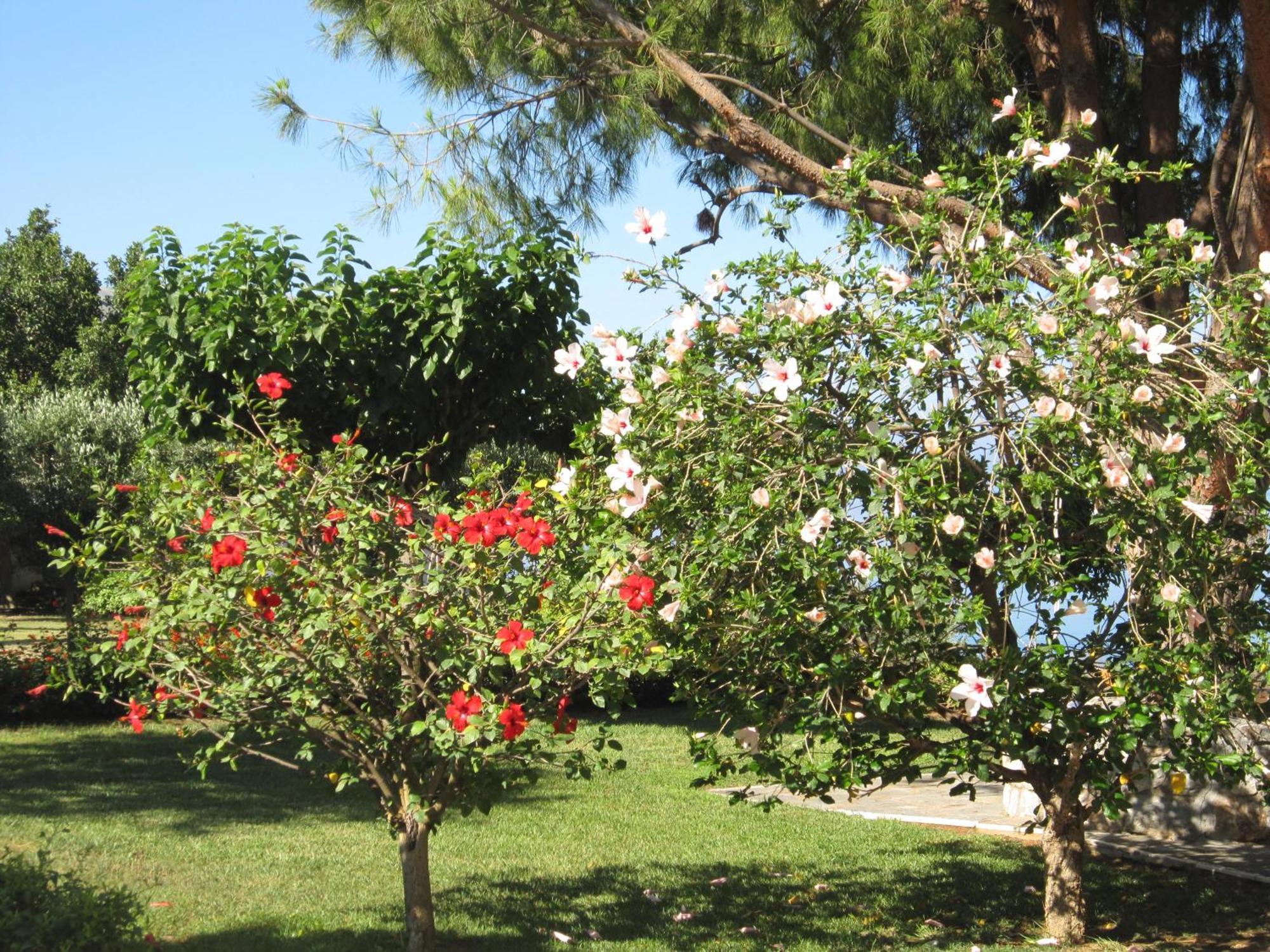 Villa Messinian Blue Seaside Kalamata
