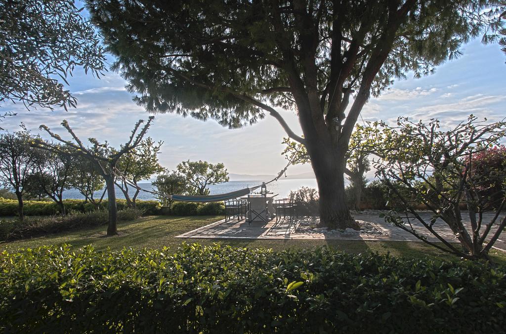 Messinian Blue Seaside Kalamata
